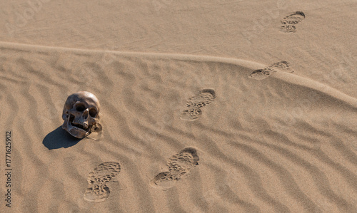A dummy of a human skull lies on the sand in the desert