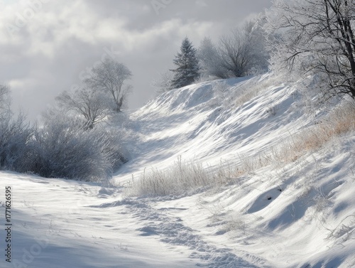 Softly Lit Winter Hillside with Fresh Snow, Frosted Shrubs, and Distant Trees under Muted Cloudy Sky