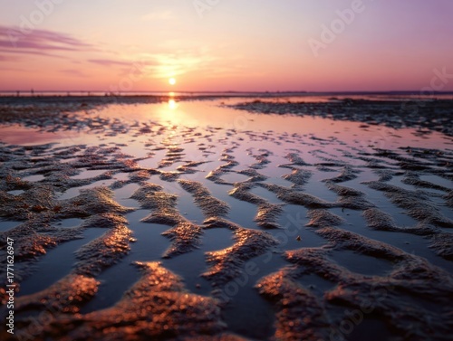 Vibrant Sunset over Textured Beach Ripples and Water during Low Tide Reflecting Golden and Purple Hues