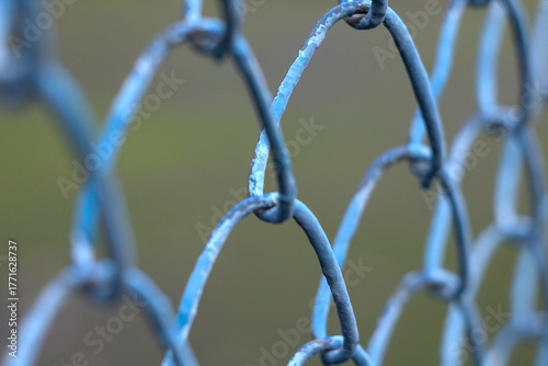 a fragment of a blue metal mesh fence