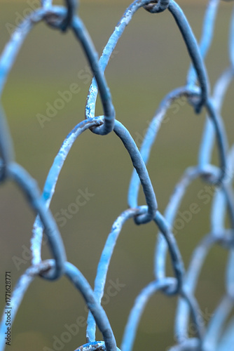 a fragment of a blue metal mesh fence