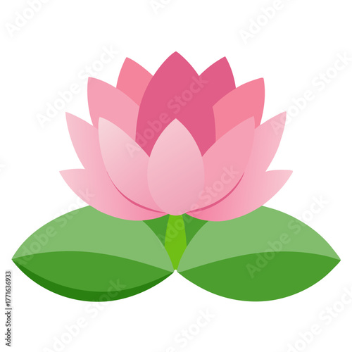 Elegant pink lotus flower illustration with green leaves on