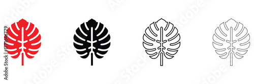 Monstera leaf vector icon, Monstera tropical leaves vector, silhouette and line art