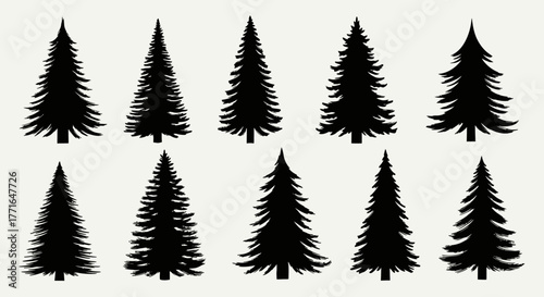 A collection of ten black silhouette illustrations of various evergreen trees.