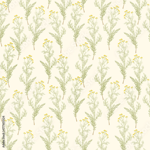 seamless floral pattern with summer herbs. Tissue design