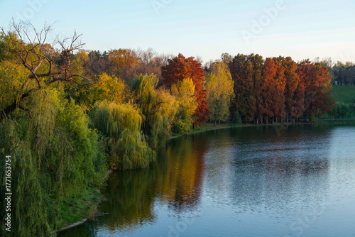 autumn in the forest,  Tineretului Park, Bucharest City, Romania 
