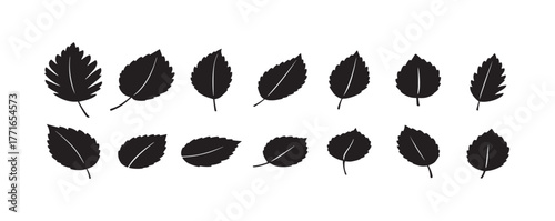 Collection of silhouette leaf elements. Set of tropical plants, leaf branch, foliage, flower. Hand drawn of botanical decor, website, graphic, decorative, vector illustration.