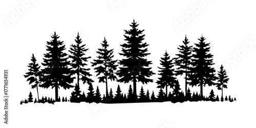 Pine trees silhouettes. Evergreen coniferous forest silhouette, nature spruce tree park view vector illustration. Coniferous woods silhouette.