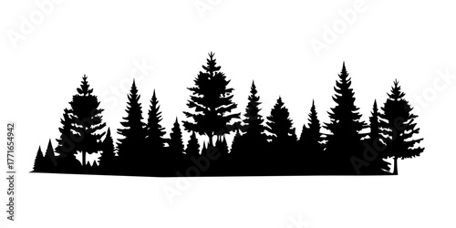 Pine trees silhouettes. Evergreen coniferous forest silhouette, nature spruce tree park view vector illustration. Coniferous woods silhouette.