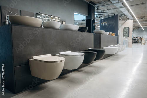 Modern Display of Designer Sinks and Toilets in a Bathroom Showroom