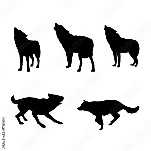 wolf vector art template