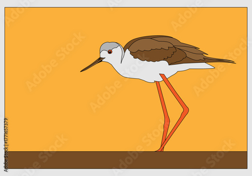A graceful black-winged ibis wades through the golden waters at sunset. Bird illustration graphic design.