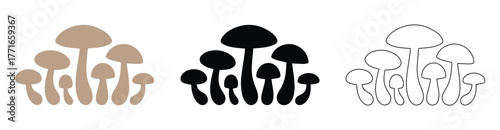 Mushroom Icons Set - Color, Silhouette, and Line Art Vector