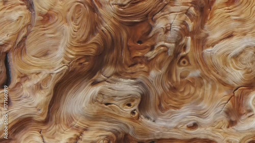 Looping video of natural wooden textures — oak, pine, and rustic planks. Perfect wood background for design, 3D, and video projects.