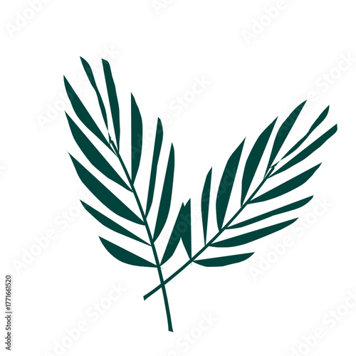 laurel wreath vector illustration, hand drawn flower , vector green palm leaves, tropical trees, flower pots, tree leaves, illustration, isolate , palm branches