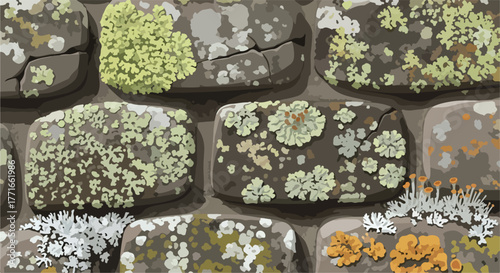 Vector illustration of textured rocks with moss and lichen