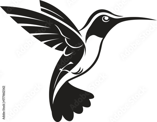 The image presents a stylized black-and-white silhouette of a hummingbird in flight. This design highlights the bird's graceful form, featuring elongated wings and a slender beak, which are characteri