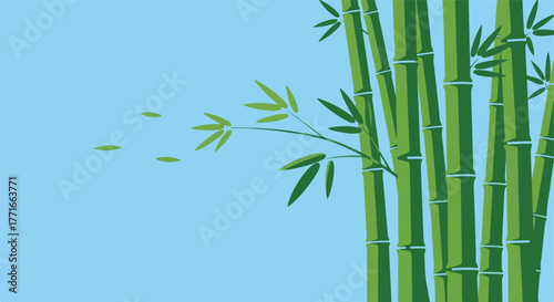 Stylized illustration of bamboo stalks and leaves against a blue background