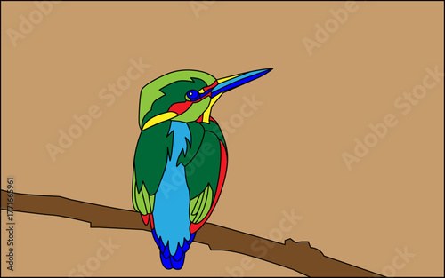 Vibrant kingfisher perched on a branch, showcasing vivid blue and orange plumage in natural light. Bird illustration graphic design.