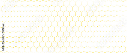 Background of yellow honeycombs. Honeycombs. Vector illustration. Yellow. Background. Honey.