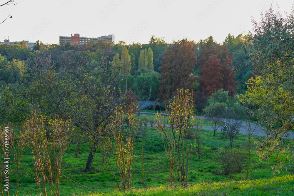 Fototapeta premium autumn landscape with trees, Tineretului Park, Bucharest City, Romania 