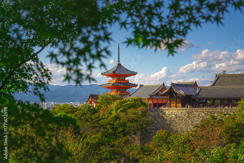 Kyoto, Japan - Oct 11 2024, panoramic view through foliage of Kiyomizu-Dera temple complex with a pagoda, without people, with a clear blue sky and a forest in foreground, at daytime, Kyoto, Japan