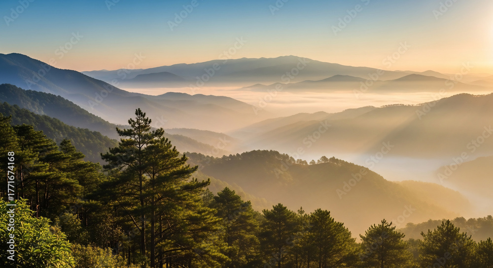 Fototapeta premium Mountain Landscape Misty Valley Sunrise Light Breathtaking Forest Scenery