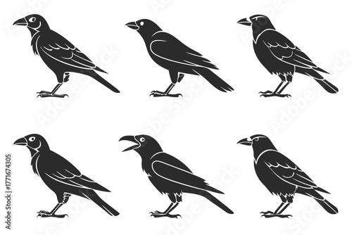 Minimalist jackdaw bird icon set in black and yellow