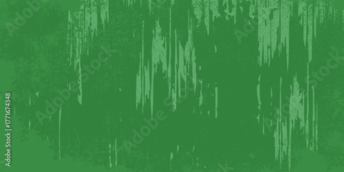 photo the green color background and textures.