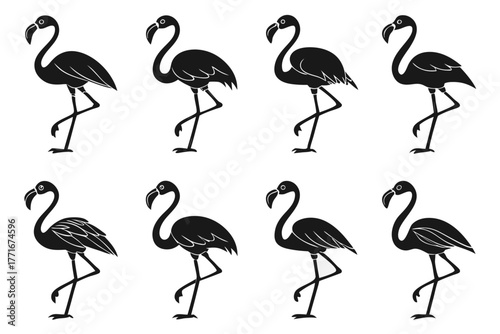 Minimalist standing flamingo icon set in black and vibrant colors