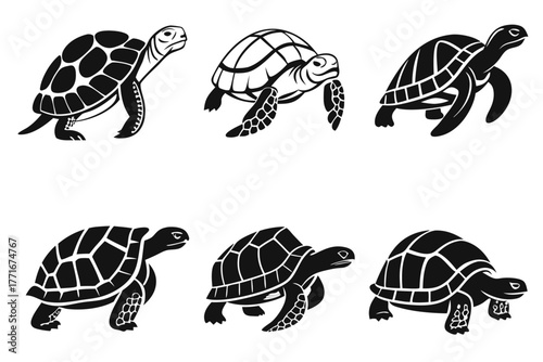Minimalist galapagos tortoise icon set