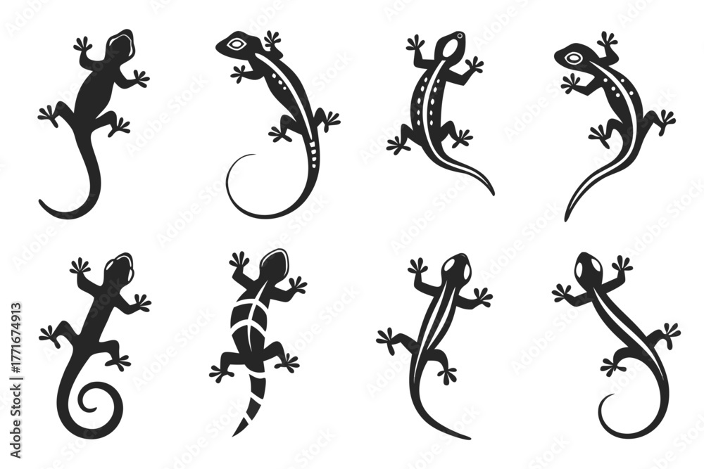 Naklejka premium Minimalist gecko icon set black and color accents