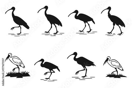 Minimalist ibis wading icon set in black and yellow