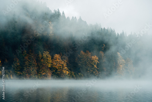 Misty autumn mood by the forest lake