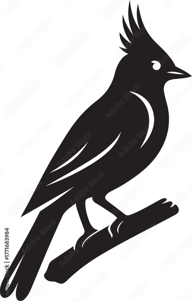 Fototapeta premium Black silhouette of a bird with a crest perched on a branch, Exotic bird silhouette design for tropical art