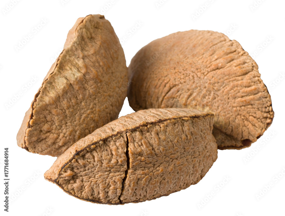 Fototapeta premium In-sell Brazil nut isolated on the white background.