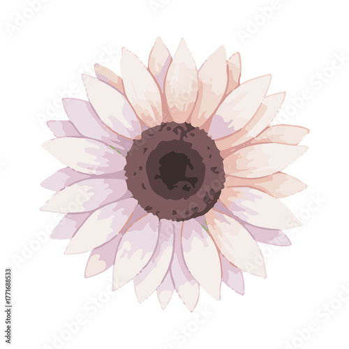 sunflower vector illustration design
