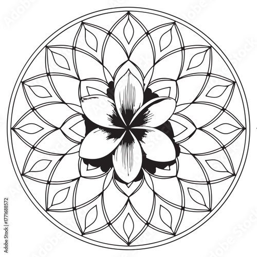 An elegant plumeria flower mandala isolated on white background, a harmonious blend of floral beauty and geometric design for relaxation