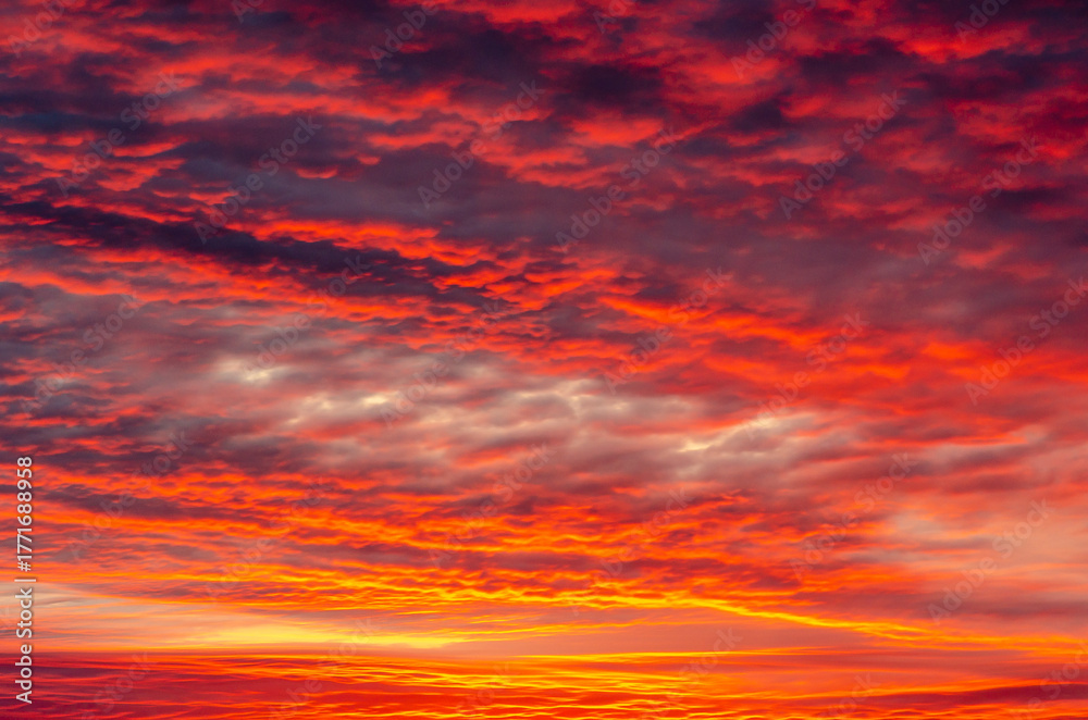 Fototapeta premium Sunset landscape of Xihai grand canyon,located at Huangshan mountain, Huangshan, Anhui, China