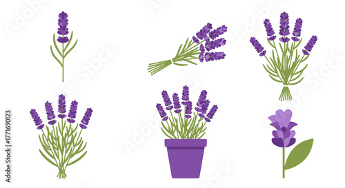 Lavender floral illustrations set with flowerpot and tied bunches