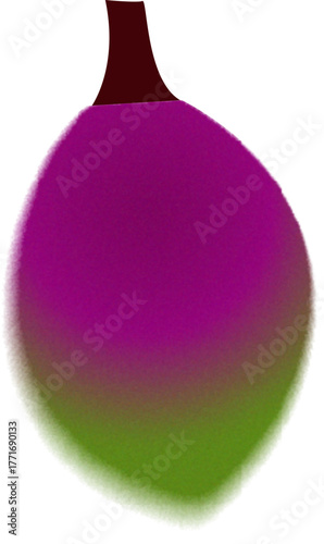 gradient fig illustration