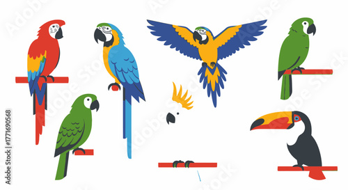 Tropical Birds Set Macaw Parrot Toucan Cockatoo Illustration