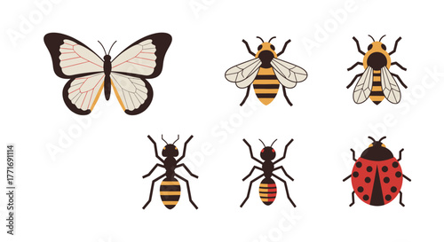 Various Isolated Insect Illustrations Butterfly Bees Ants Ladybug
