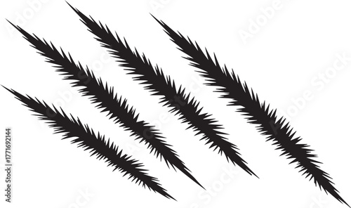 Claw Scratch Shred Mark Rake Scar Slash Rip Tear Predator Beast Feline Wild Animal Attack