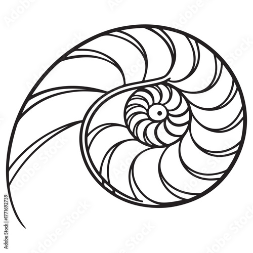 Elegant nautilus shell spiral, a natural wonder of logarithmic growth, isolated on white background