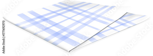 Blue Checkered Napkin
