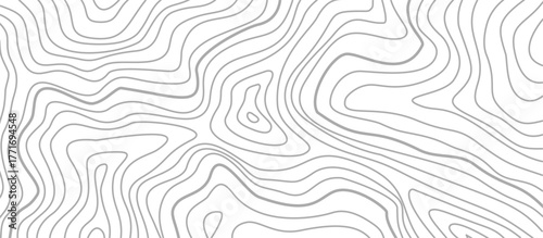 topographic contour background. contour lines background. Topographic map background. abstract wavy background. Topographic map contour background.