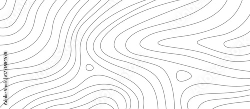 topographic contour background. contour lines background. Topographic map background. abstract wavy background. Topographic map contour background.