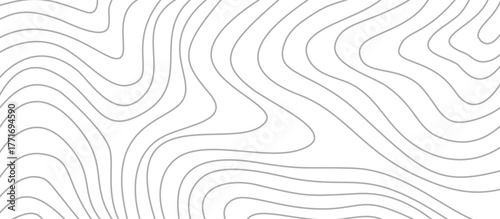 topographic contour background. contour lines background. Topographic map background. abstract wavy background. Topographic map contour background.