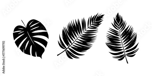 Tropical leaves vector. Set of palm leaves silhouettes isolated on white background. Vector EPS10.